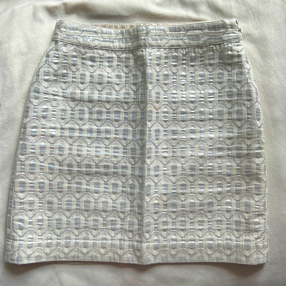 Banana Republic Skirt